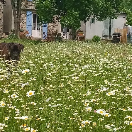 La Taniere Champs-Sur-Tarentaine-Marchal