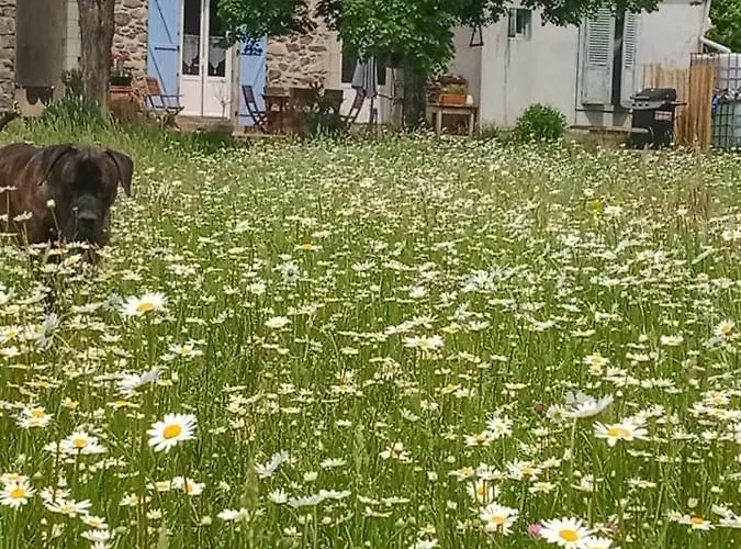 La Taniere Champs-Sur-Tarentaine-Marchal